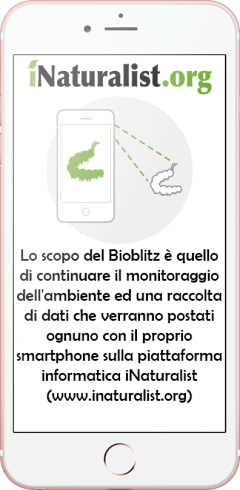 Bioblitz telefono