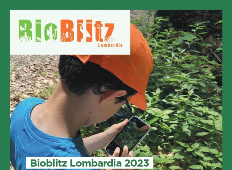 RL_BioBlitz_Cartolina_2023_3bis_page-bunner